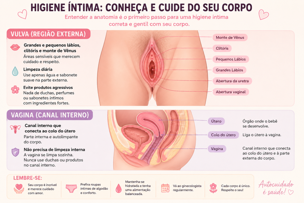 infográfico anatomia feminina explicando, como fazer higiene íntima