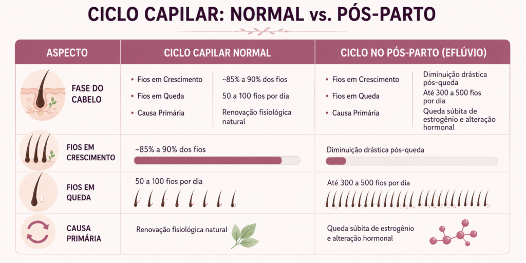 Comparativo ciclo capilar normal e pós-parto