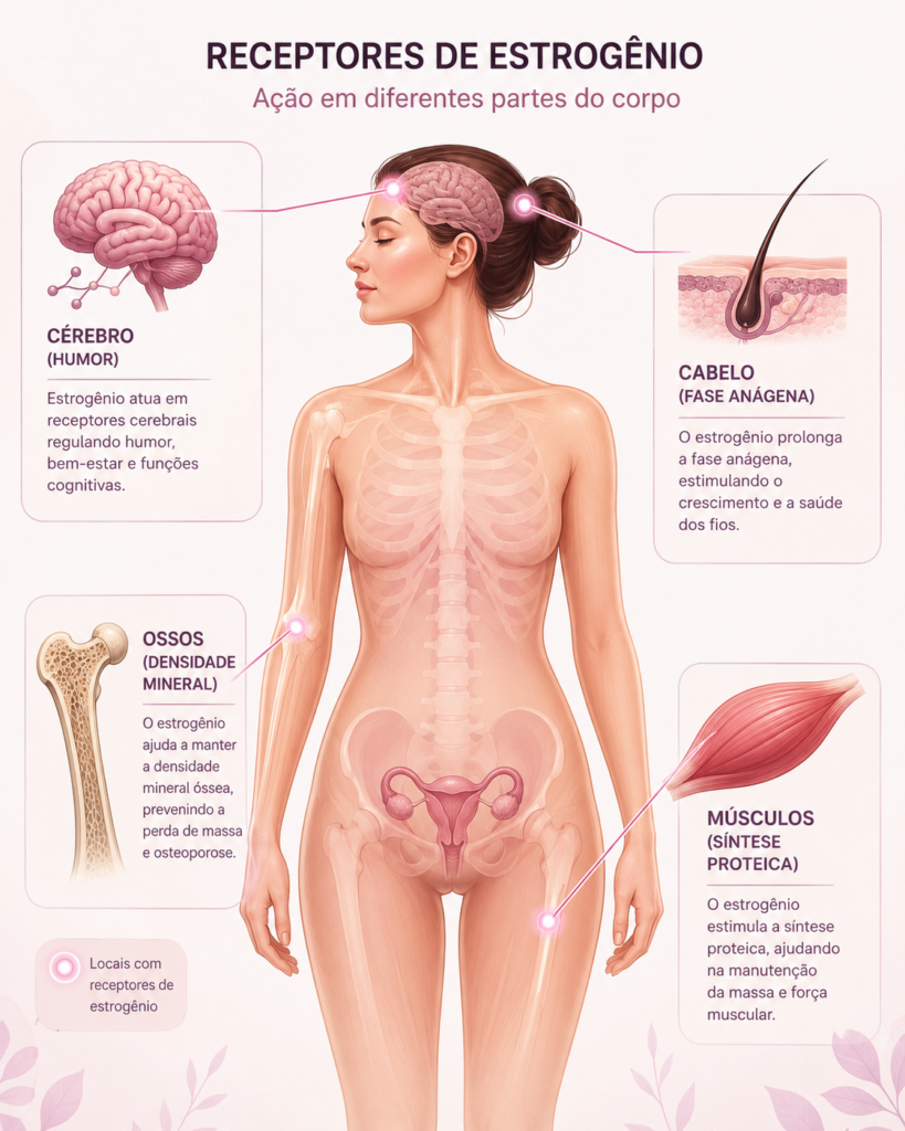O Impacto Sistêmico do Estrogênio no Corpo Feminino e Saúde Hormonal Feminina