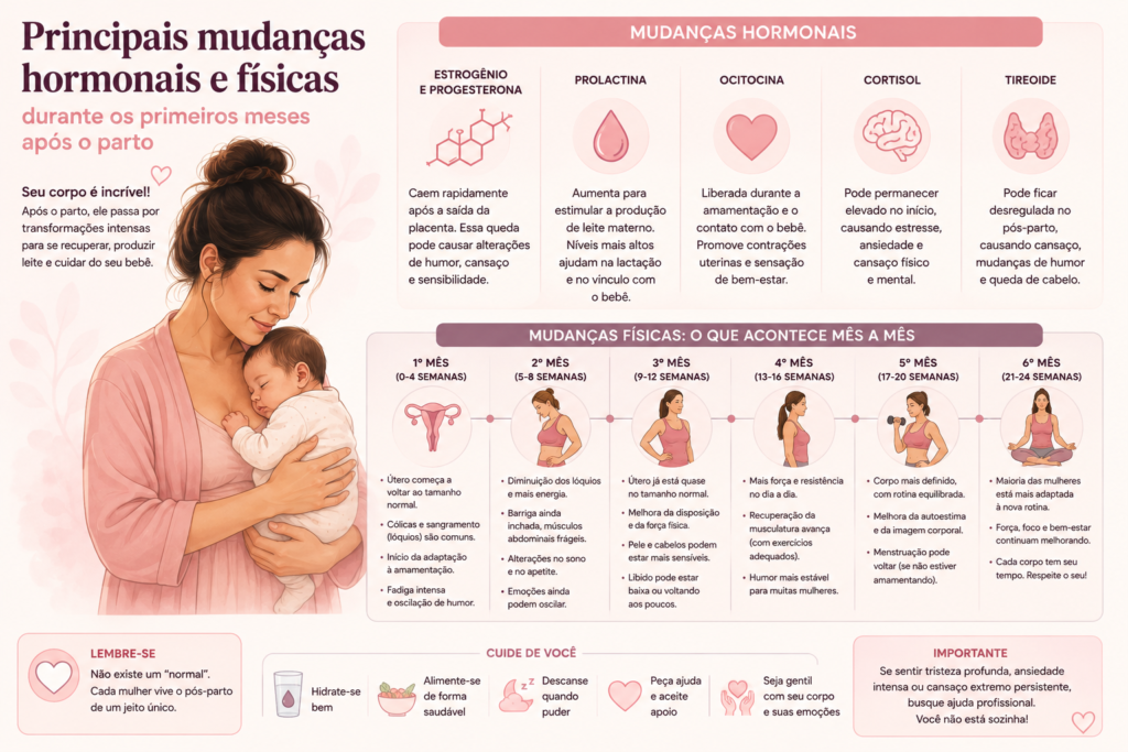 Ilustração das principais mudanças hormonais e físicas durante os primeiros meses após o parto, Pós-Parto: O Que Acontece com o Corpo da Mulher nos Primeiros 6 Meses?